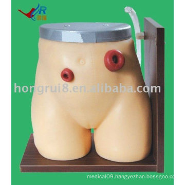 HR/H38 Advanced Ostomy Care Simulator,nursing models